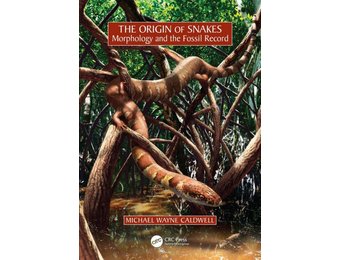 The Origin of Snakes