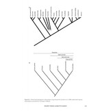 The Origin of Snakes - Morphology and the Fossil Record