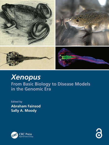 Xenopus - From Basic Biology to Disease Models in the Genomic Era