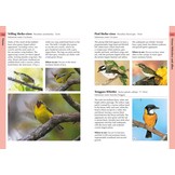 Birds of Bali, Sumatra and Java - A Photographic Guide