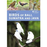 Birds of Bali, Sumatra and Java - A Photographic Guide