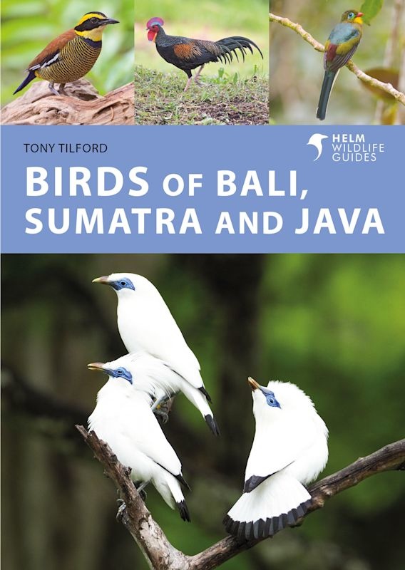 Birds of Bali, Sumatra and Java - A Photographic Guide