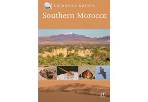 Crossbill Guide Southern Morocco