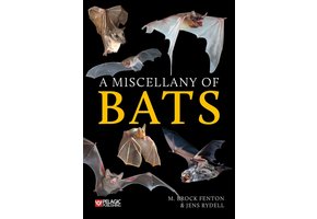 A Miscellany of Bats