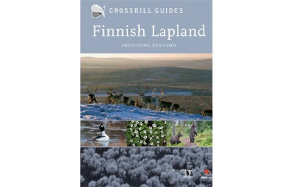 Crossbill Guide Finnish Lapland - including Kuusamo