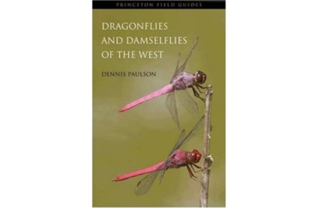 Dragonflies and Damselflies of the West