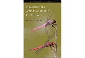 Dragonflies and Damselflies of the West