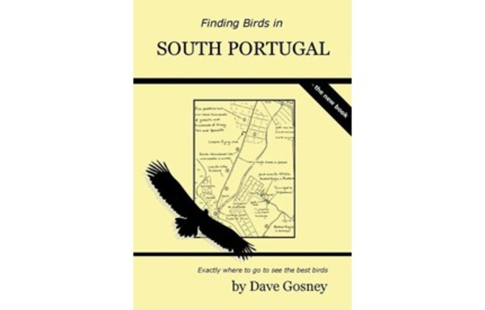 Finding Birds in South Portugal