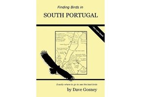 Finding Birds in South Portugal