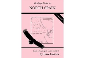 Finding Birds in North Spain