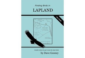 Finding Birds in Lapland