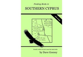 Finding Birds in Southern Cyprus