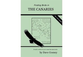 Finding Birds in the Canaries