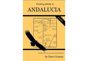 Finding Birds in Andalucia