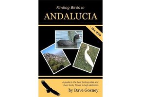 Finding Birds in Andalucia DVD