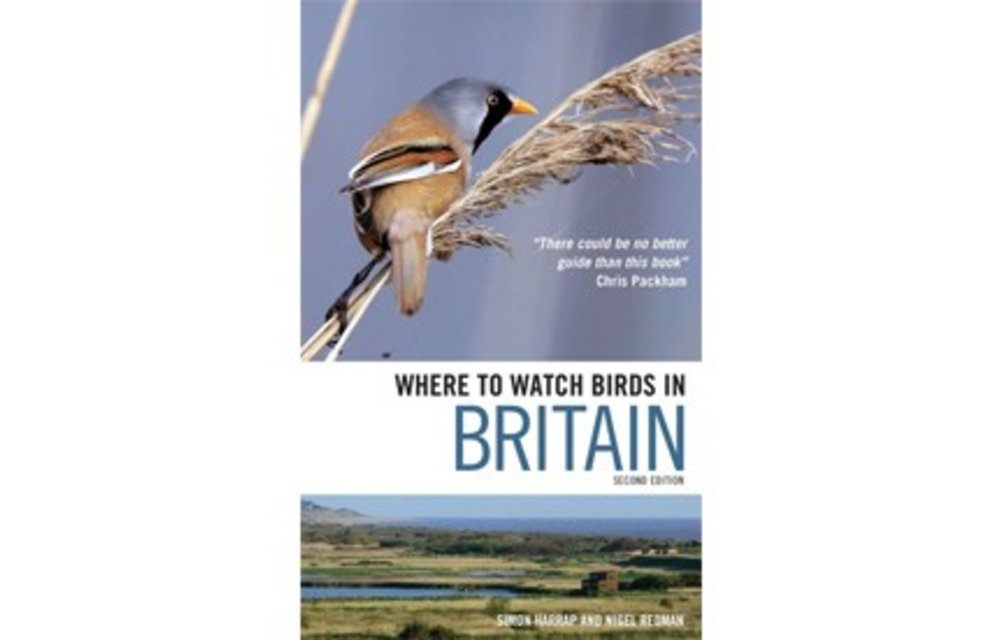 Where to watch birds in Britain
