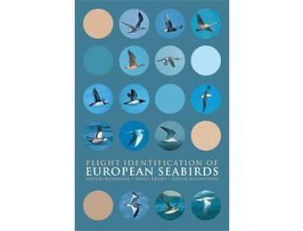 Flight Identification of European Seabirds