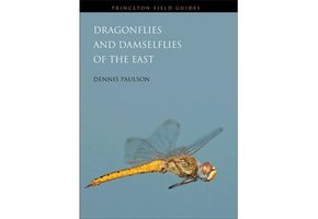 Dragonflies and Damselflies of the East