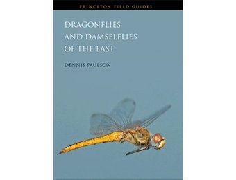 Dragonflies and Damselflies of the East