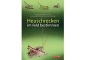 Heuschrecken im Feld bestimmen