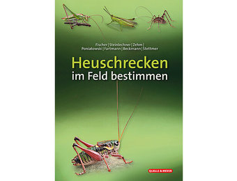 Heuschrecken im Feld bestimmen