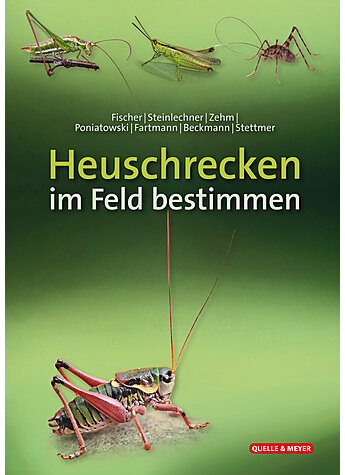 Heuschrecken im Feld bestimmen