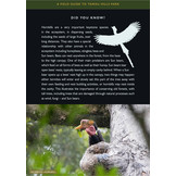 A Field Guide to Tawau Hills Park