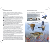 Vogels van Europa - De meest complete fotogids
