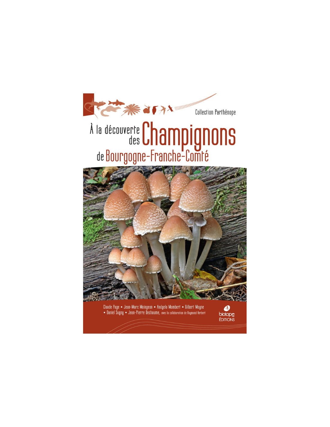A la découverte des Champignons de Bourgogne-Franche-Comté