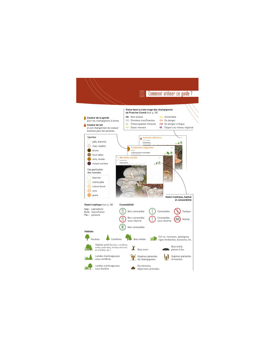 A la découverte des Champignons de Bourgogne-Franche-Comté