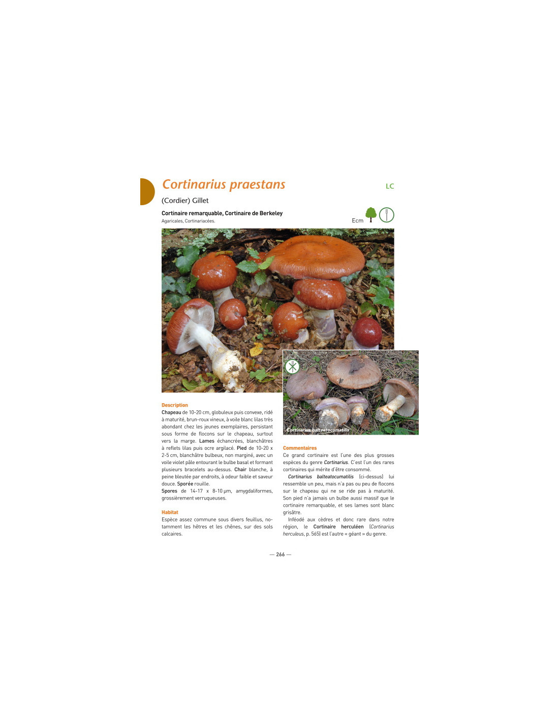 A la découverte des Champignons de Bourgogne-Franche-Comté