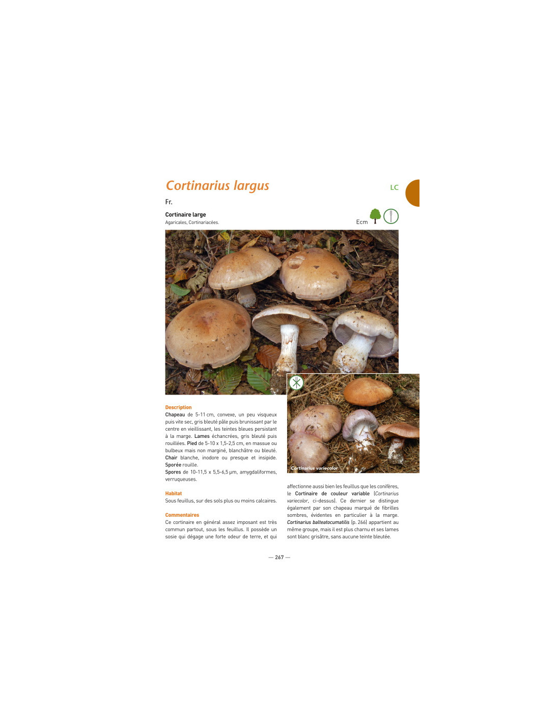 A la découverte des Champignons de Bourgogne-Franche-Comté