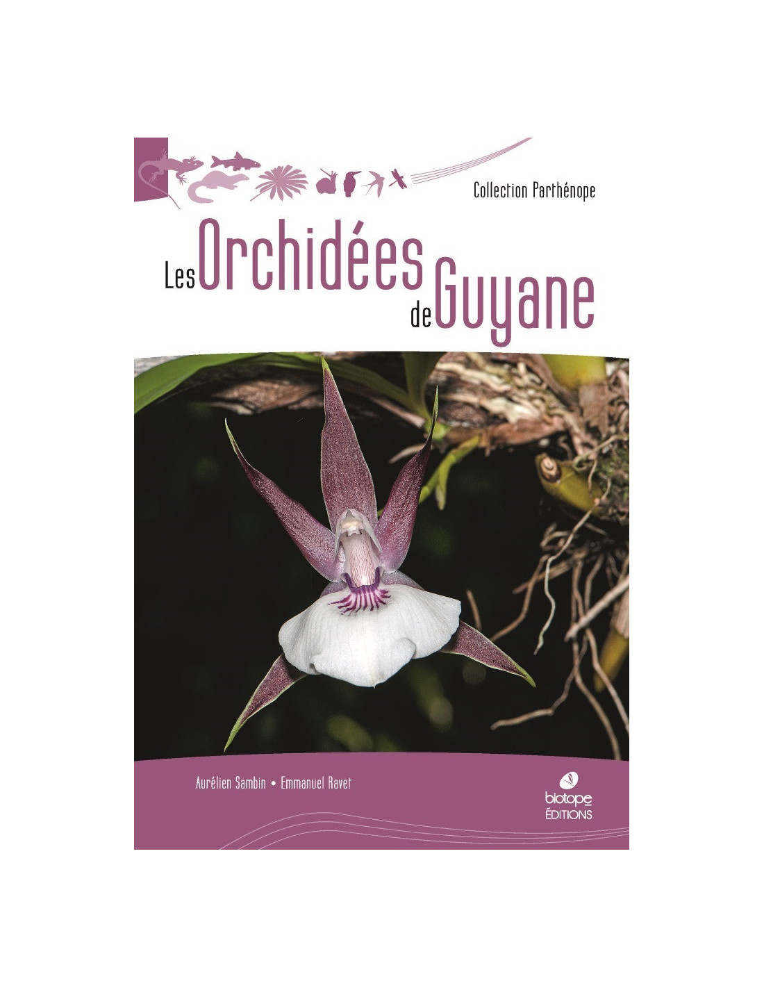 Les Orchidées de Guyane