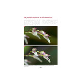 Les Orchidées de Guyane