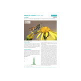 Atlas des papillons de Jour d'Aquitaine