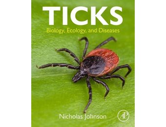 Ticks