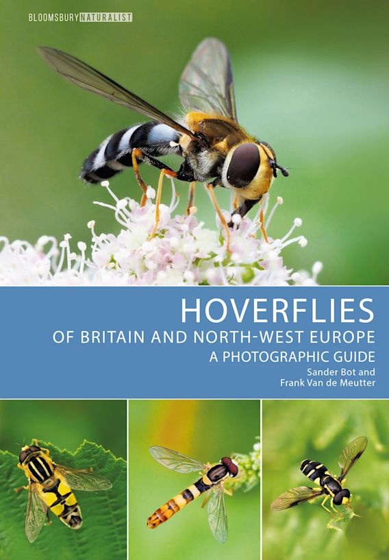 Hoverflies of Britain and North-west Europe - A photographic guide