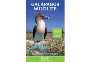 Bradt Wildlife Guide: Galápagos Wildlife