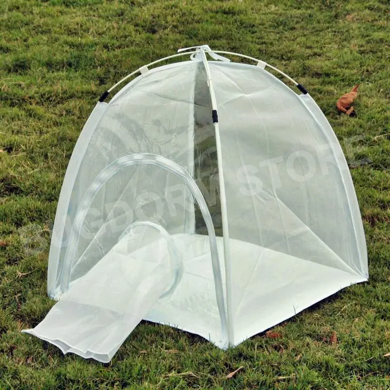 BD2120 Insectenkweektent