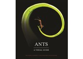 Ants: A Visual Guide