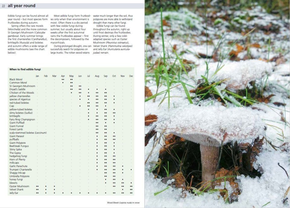 Edible Fungi of Britain and Northern Europe: How to Identify, Collect and Prepare