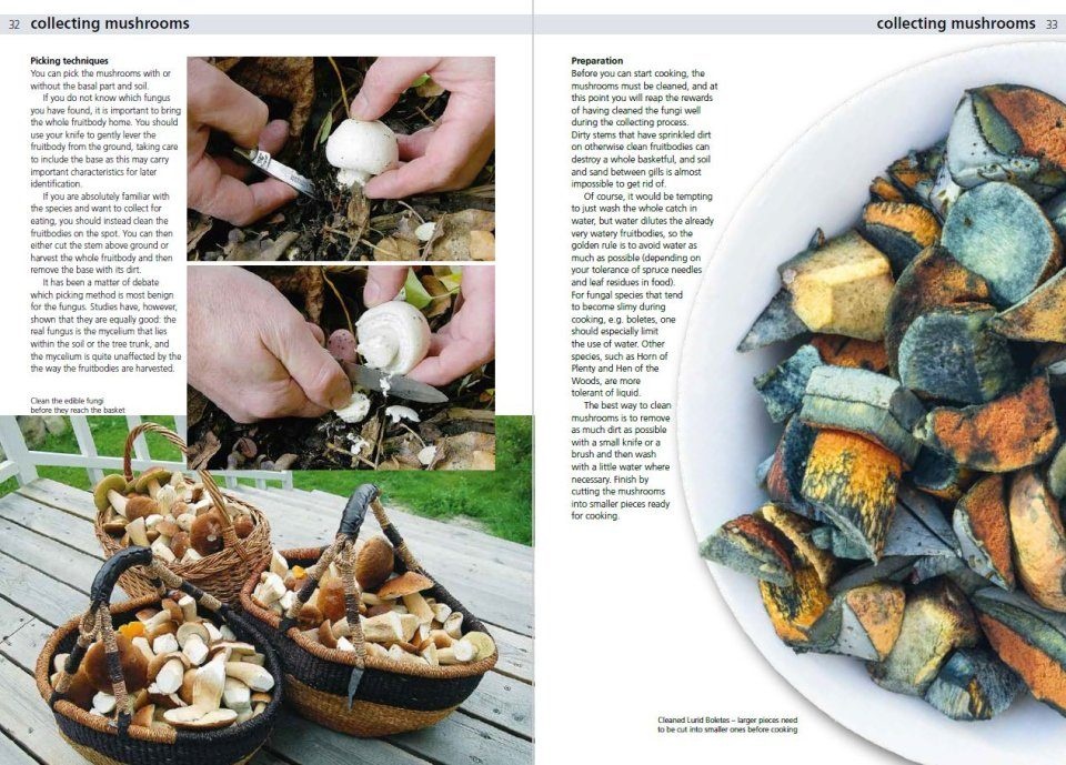 Edible Fungi of Britain and Northern Europe: How to Identify, Collect and Prepare