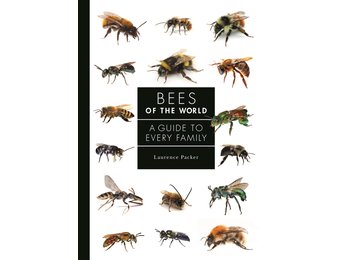 Bees of the World
