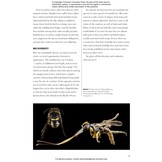 Bees of the World: A Guide to Every Family