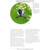 Bees of the World: A Guide to Every Family