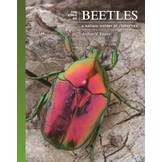 The Lives of Beetles: A Natural History of Coleoptera