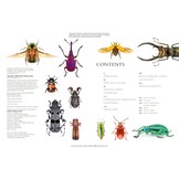 The Lives of Beetles: A Natural History of Coleoptera