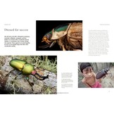 The Lives of Beetles: A Natural History of Coleoptera