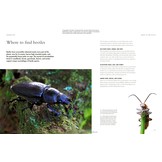 The Lives of Beetles: A Natural History of Coleoptera