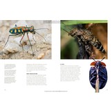 The Lives of Beetles: A Natural History of Coleoptera